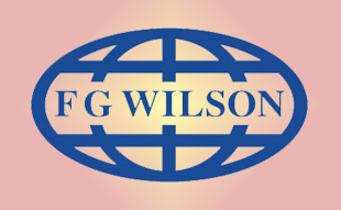 ✓ FG-Wilson 00000-00065 Запчасти Перкинс / Вилсон 